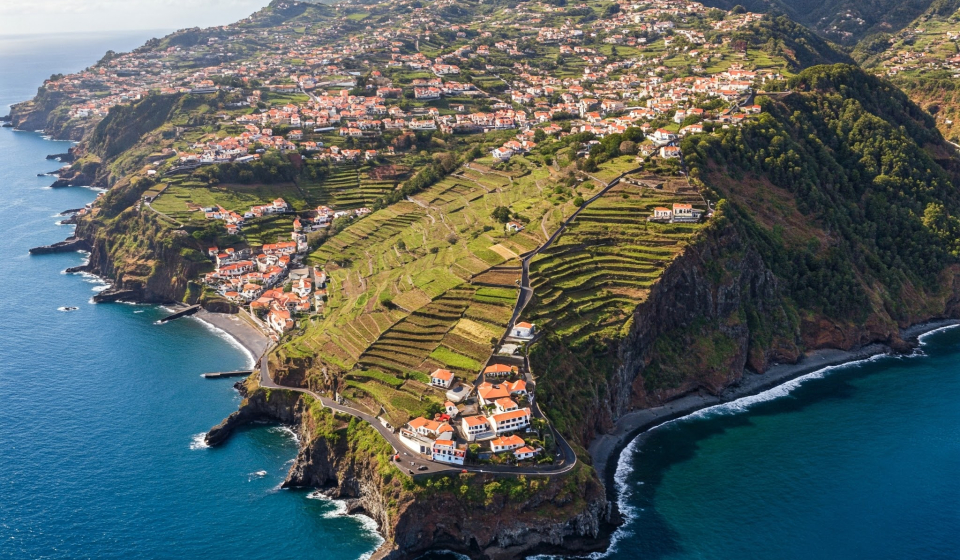 Gemini_Generated_Image_e441fne441fne441